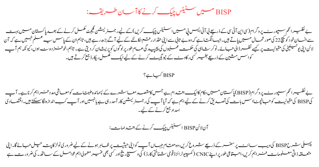 What is BISP